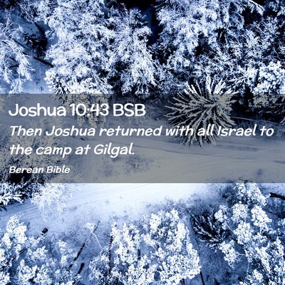 Picture 02 - Joshua 10:43 BSB - Then Joshua returned with all Israel to the camp - Bible Verse Picture