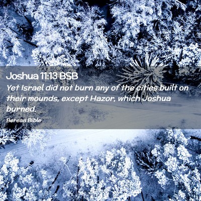 Picture 02 - Joshua 11:13 BSB - Yet Israel did not burn any of the cities built - Bible Verse Picture