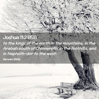 Picture 02 - Joshua 11:2 BSB - to the kings of the north in the mountains, in - Bible Verse Picture