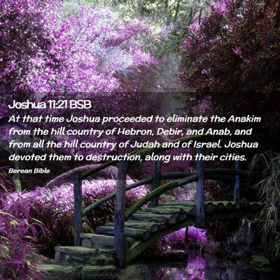Picture 02 - Joshua 11:21 BSB - At that time Joshua proceeded to eliminate the - Bible Verse Picture