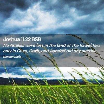 Picture 02 - Joshua 11:22 BSB - No Anakim were left in the land of the - Bible Verse Picture