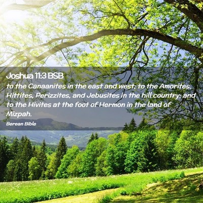 Picture 02 - Joshua 11:3 BSB - to the Canaanites in the east and west; to the - Bible Verse Picture
