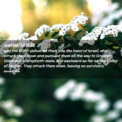 Picture 02 - Joshua 11:8 BSB - and the LORD delivered them into the hand of - Bible Verse Picture