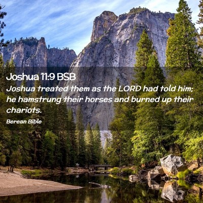 Picture 02 - Joshua 11:9 BSB - Joshua treated them as the LORD had told him; he - Bible Verse Picture