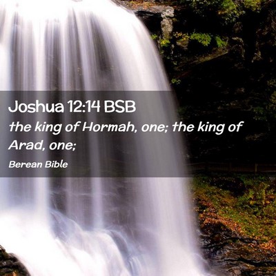 Picture 02 - Joshua 12:14 BSB - the king of Hormah, one; the king of Arad, - Bible Verse Picture