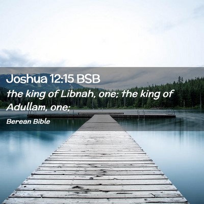 Picture 02 - Joshua 12:15 BSB - the king of Libnah, one; the king of Adullam, - Bible Verse Picture
