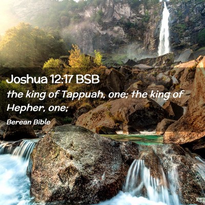 Picture 02 - Joshua 12:17 BSB - the king of Tappuah, one; the king of Hepher, - Bible Verse Picture