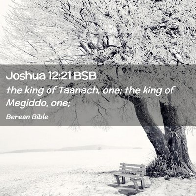 Picture 02 - Joshua 12:21 BSB - the king of Taanach, one; the king of Megiddo, - Bible Verse Picture