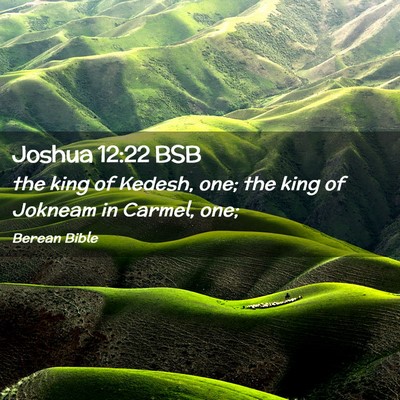 Picture 02 - Joshua 12:22 BSB - the king of Kedesh, one; the king of Jokneam in - Bible Verse Picture