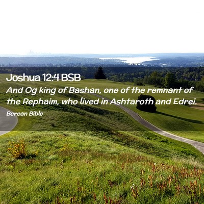 Picture 02 - Joshua 12:4 BSB - And Og king of Bashan, one of the remnant of the - Bible Verse Picture