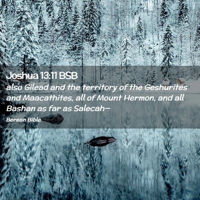 Picture 02 - Joshua 13:11 BSB - also Gilead and the territory of the Geshurites - Bible Verse Picture