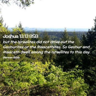 Picture 02 - Joshua 13:13 BSB - but the Israelites did not drive out the - Bible Verse Picture