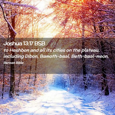 Picture 02 - Joshua 13:17 BSB - to Heshbon and all its cities on the plateau, - Bible Verse Picture