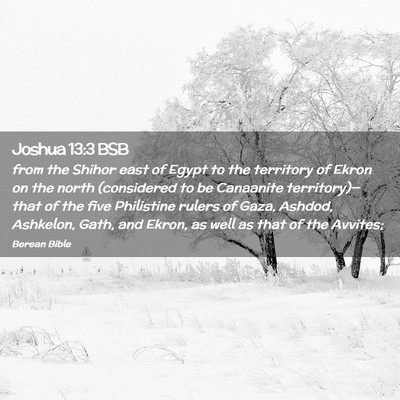 Picture 02 - Joshua 13:3 BSB - from the Shihor east of Egypt to the territory of - Bible Verse Picture