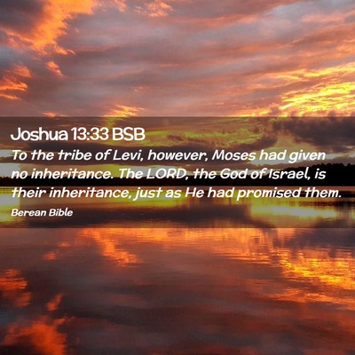 Picture 02 - Joshua 13:33 BSB - To the tribe of Levi, however, Moses had given no - Bible Verse Picture
