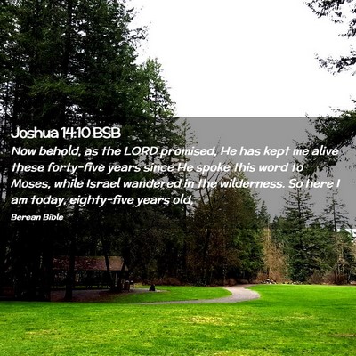 Picture 02 - Joshua 14:10 BSB - Now behold, as the LORD promised, He has kept me - Bible Verse Picture
