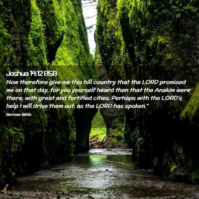 Picture 02 - Joshua 14:12 BSB - Now therefore give me this hill country that the - Bible Verse Picture