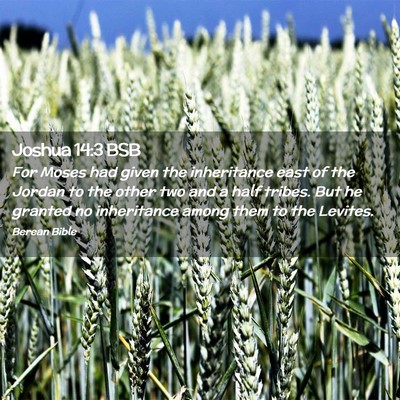 Picture 02 - Joshua 14:3 BSB - For Moses had given the inheritance east of the - Bible Verse Picture