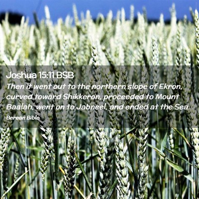 Picture 02 - Joshua 15:11 BSB - Then it went out to the northern slope of Ekron, - Bible Verse Picture