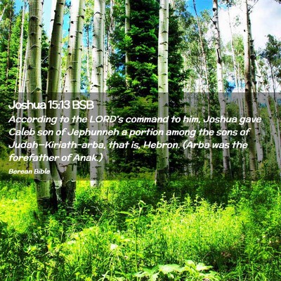 Picture 02 - Joshua 15:13 BSB - According to the LORD’s command to him, Joshua - Bible Verse Picture