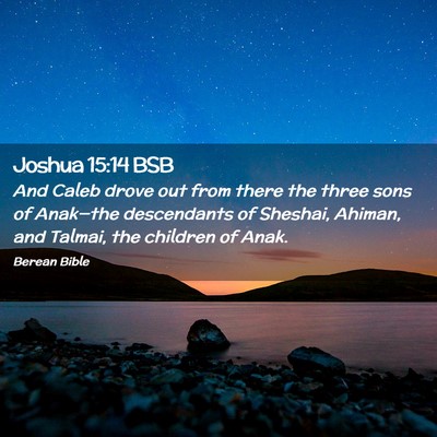 Picture 02 - Joshua 15:14 BSB - And Caleb drove out from there the three sons of - Bible Verse Picture