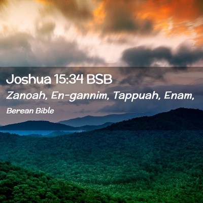 Picture 02 - Joshua 15:34 BSB - Zanoah, En-gannim, Tappuah, - Bible Verse Picture