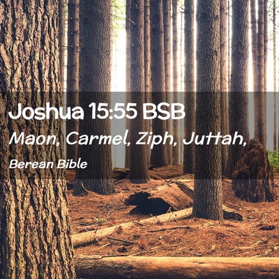 Picture 02 - Joshua 15:55 BSB - Maon, Carmel, Ziph, - Bible Verse Picture