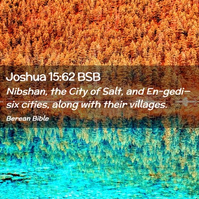 Picture 02 - Joshua 15:62 BSB - Nibshan, the City of Salt, and En-gedi—six - Bible Verse Picture