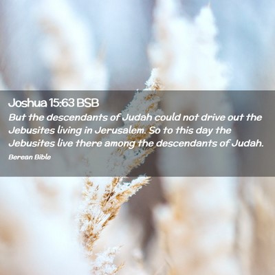 Picture 02 - Joshua 15:63 BSB - But the descendants of Judah could not drive out - Bible Verse Picture