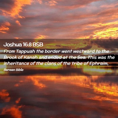 Picture 02 - Joshua 16:8 BSB - From Tappuah the border went westward to the - Bible Verse Picture