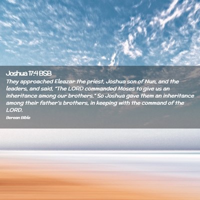 Picture 02 - Joshua 17:4 BSB - They approached Eleazar the priest, Joshua son of - Bible Verse Picture
