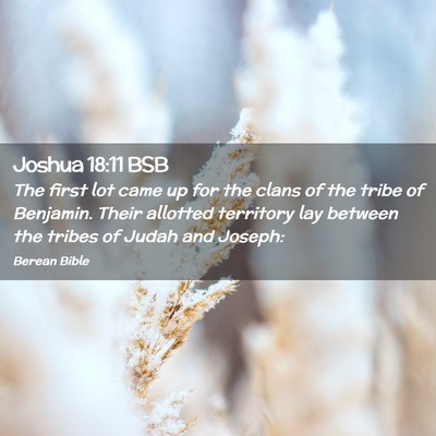 Picture 02 - Joshua 18:11 BSB - The first lot came up for the clans of the tribe - Bible Verse Picture