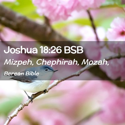 Picture 02 - Joshua 18:26 BSB - Mizpeh, Chephirah, - Bible Verse Picture