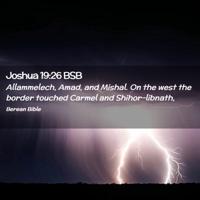 Picture 02 - Joshua 19:26 BSB - Allammelech, Amad, and Mishal. On the west the - Bible Verse Picture