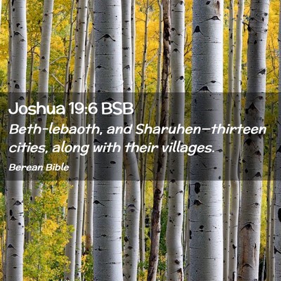 Picture 02 - Joshua 19:6 BSB - Beth-lebaoth, and Sharuhen—thirteen cities, - Bible Verse Picture