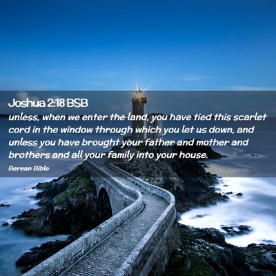 Picture 02 - Joshua 2:18 BSB - unless, when we enter the land, you have tied - Bible Verse Picture