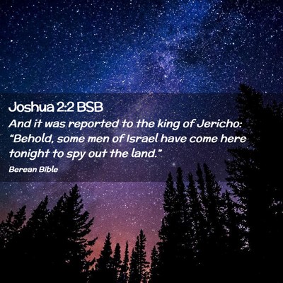 Picture 02 - Joshua 2:2 BSB - And it was reported to the king of Jericho: - Bible Verse Picture
