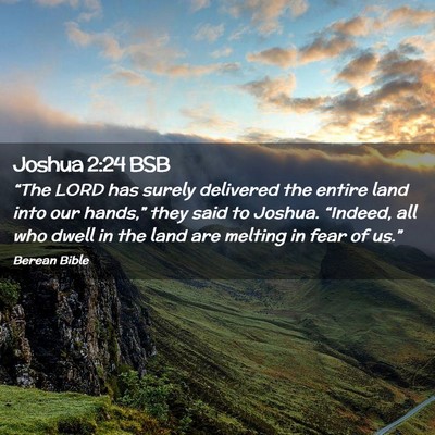 Picture 02 - Joshua 2:24 BSB - “The LORD has surely delivered the entire land - Bible Verse Picture