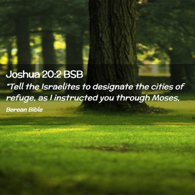 Picture 02 - Joshua 20:2 BSB - “Tell the Israelites to designate the cities of - Bible Verse Picture