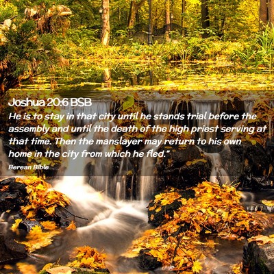 Picture 02 - Joshua 20:6 BSB - He is to stay in that city until he stands trial - Bible Verse Picture