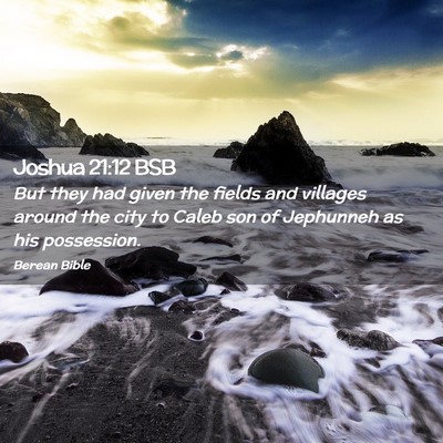 Picture 02 - Joshua 21:12 BSB - But they had given the fields and villages around - Bible Verse Picture