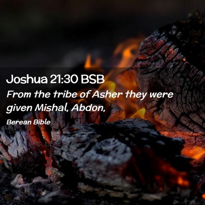 Picture 02 - Joshua 21:30 BSB - From the tribe of Asher they were given Mishal, - Bible Verse Picture