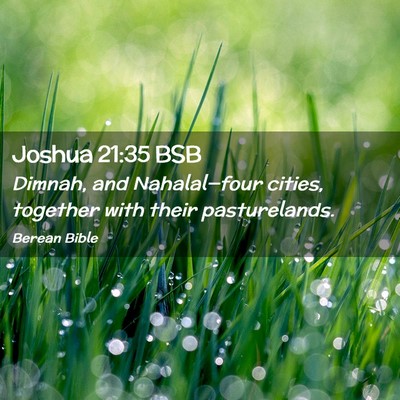 Picture 02 - Joshua 21:35 BSB - Dimnah, and Nahalal—four cities, together with - Bible Verse Picture