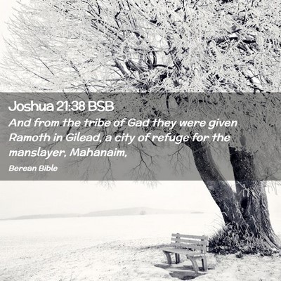 Picture 02 - Joshua 21:38 BSB - And from the tribe of Gad they were given Ramoth - Bible Verse Picture
