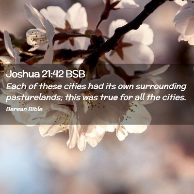 Picture 02 - Joshua 21:42 BSB - Each of these cities had its own surrounding - Bible Verse Picture
