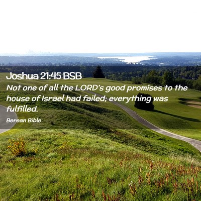 Picture 02 - Joshua 21:45 BSB - Not one of all the LORD’s good promises to the - Bible Verse Picture