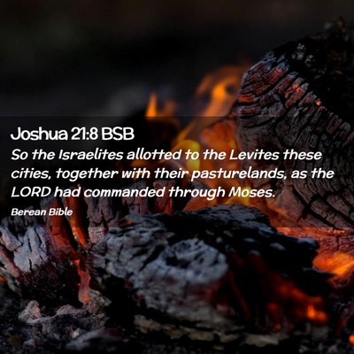 Picture 02 - Joshua 21:8 BSB - So the Israelites allotted to the Levites these - Bible Verse Picture