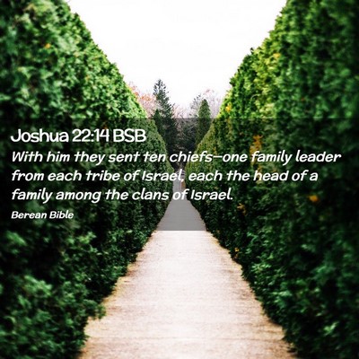 Picture 02 - Joshua 22:14 BSB - With him they sent ten chiefs—one family leader - Bible Verse Picture