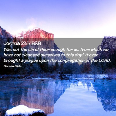 Picture 02 - Joshua 22:17 BSB - Was not the sin of Peor enough for us, from which - Bible Verse Picture