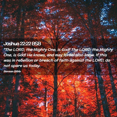 Picture 02 - Joshua 22:22 BSB - “The LORD, the Mighty One, is God! The LORD, - Bible Verse Picture